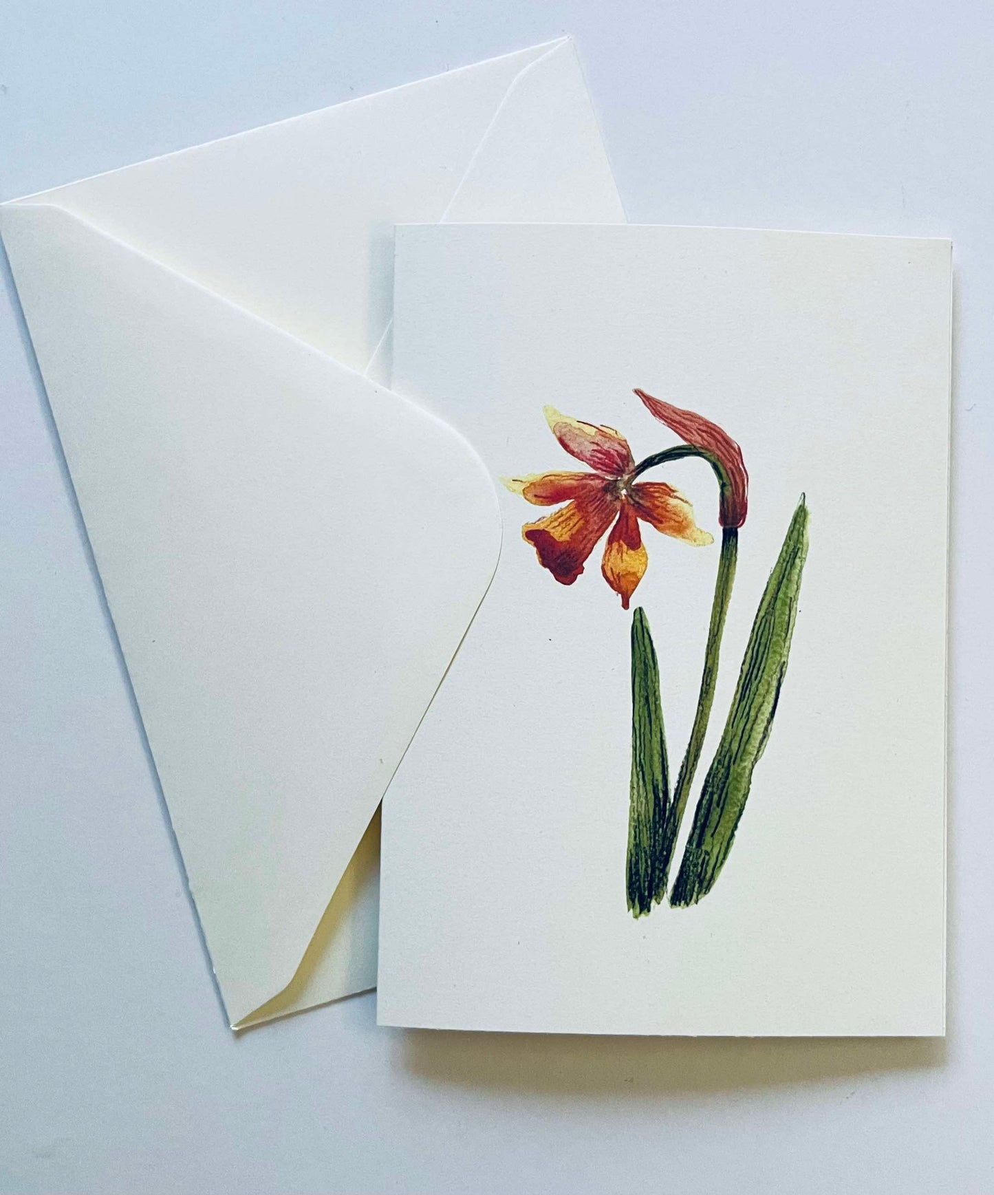 Daffodil Greetings Card | Greetings Card By Maria Zvaric Illustration
