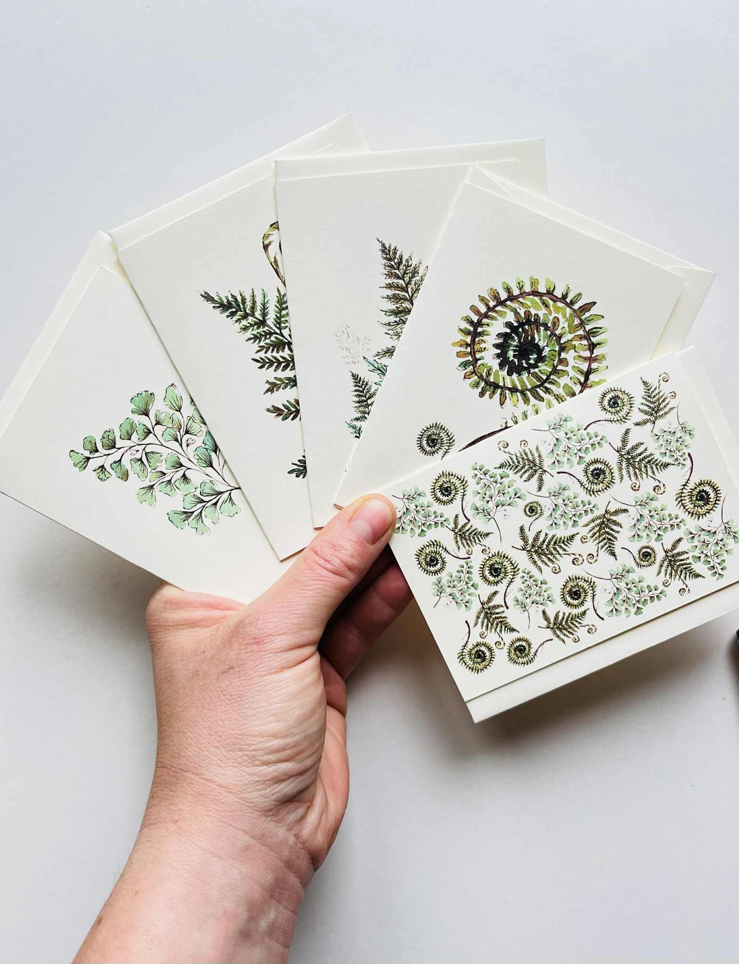 Pack of 5 Mini Greetings Cards – Fern Collection | A7 Botanical Blank Cards | Maria Zvaric Illustration