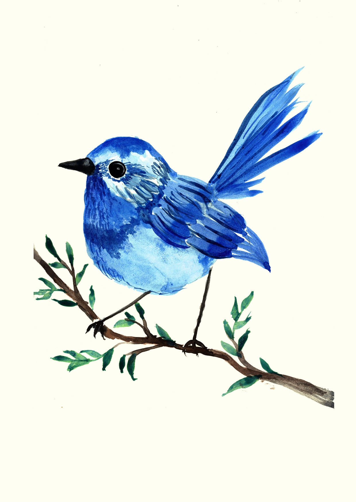 Blue Bird - Greetings card
