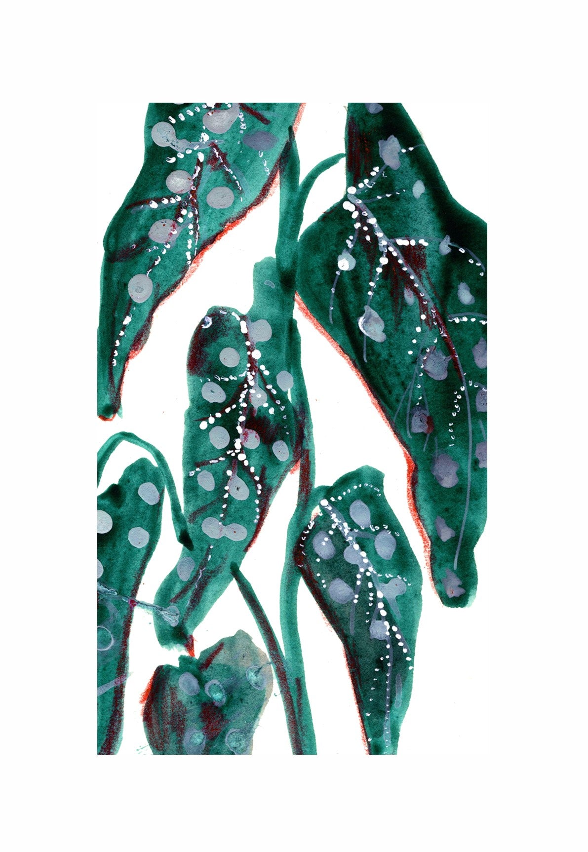 Begonia detail - Greetings Card