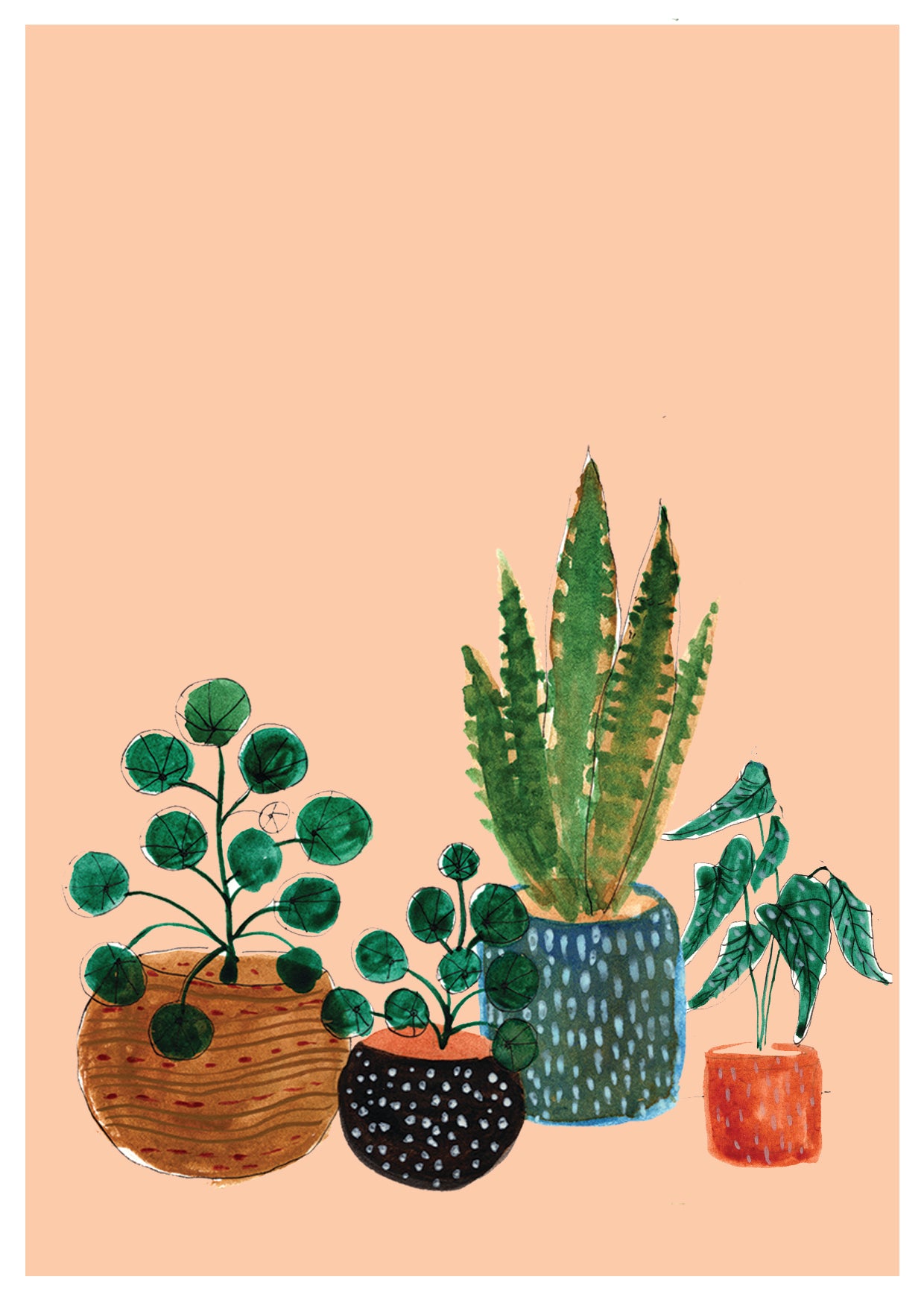 House Plants - Greetings Card