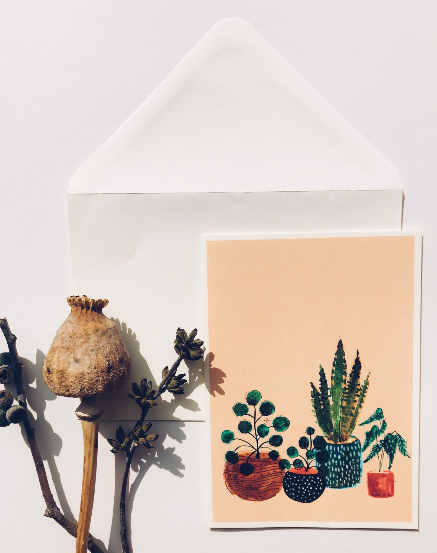 House Plants - Greetings Card
