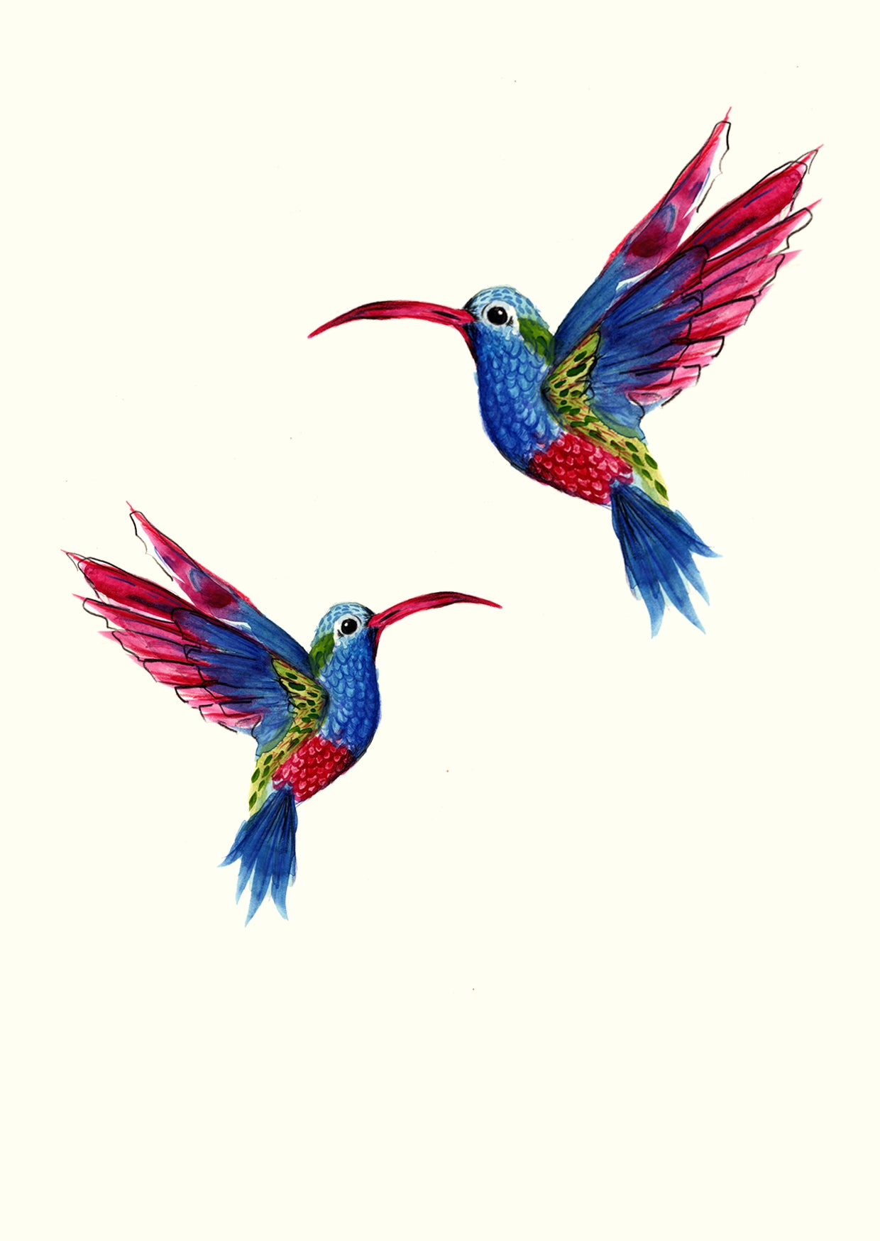 Hummingbird - Greetings Card