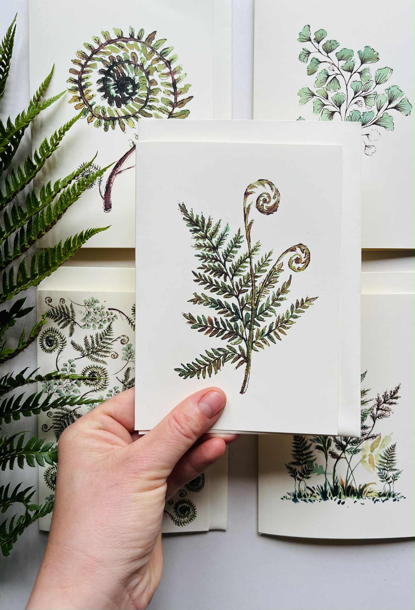 Fern Greeting Card on Ivory | Watercolour & Ink Botanical Design | Maria Zvaric Illustration