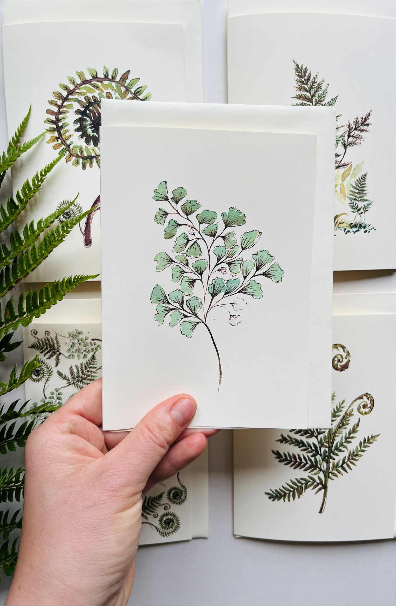 Maidenhair Fern Greeting Card on Ivory | Delicate Botanical Watercolour | Maria Zvaric Illustration