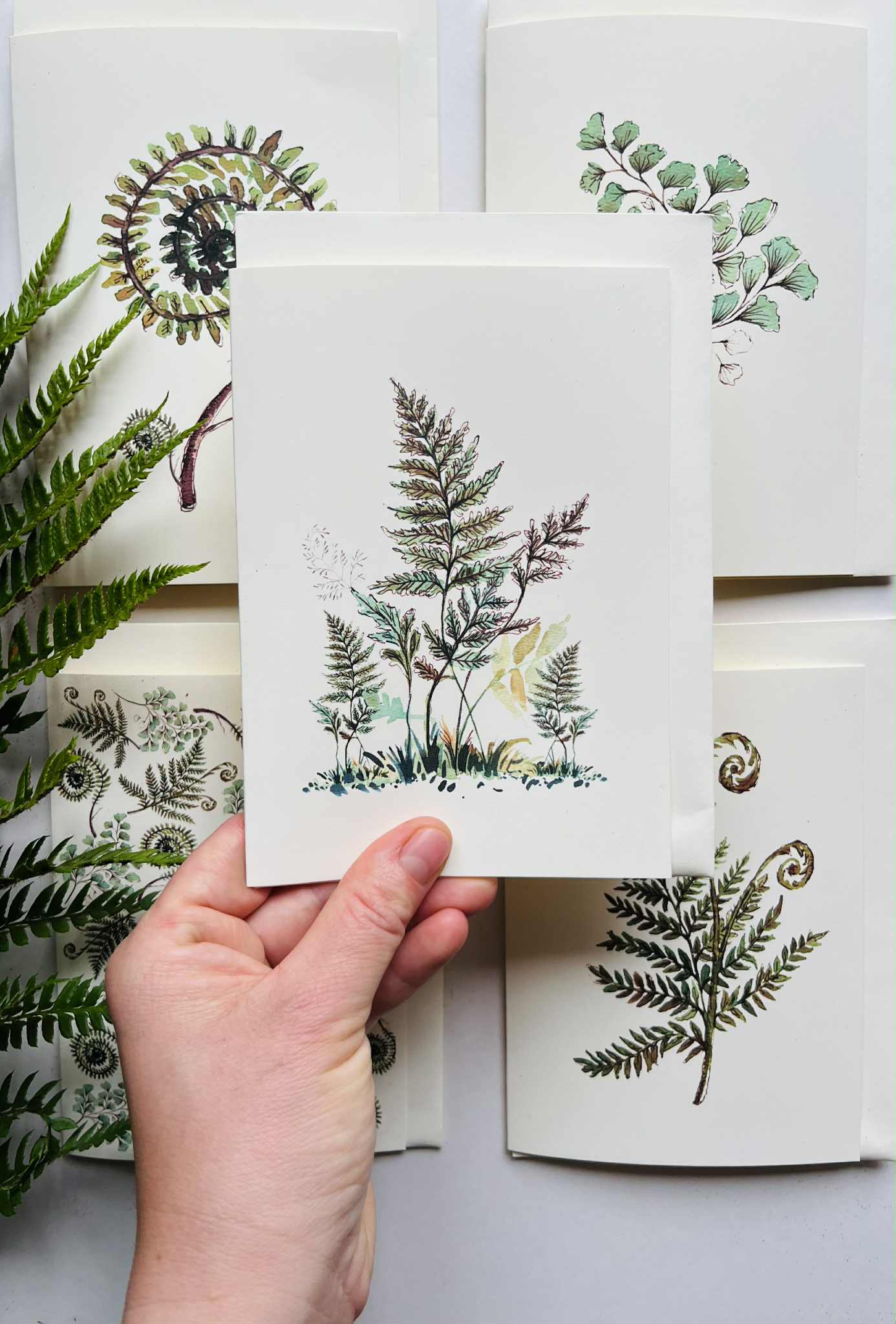 Ferns and Foliage Greeting Card on Ivory | Watercolour & Ink Botanical Design | Maria Zvaric Illustration
