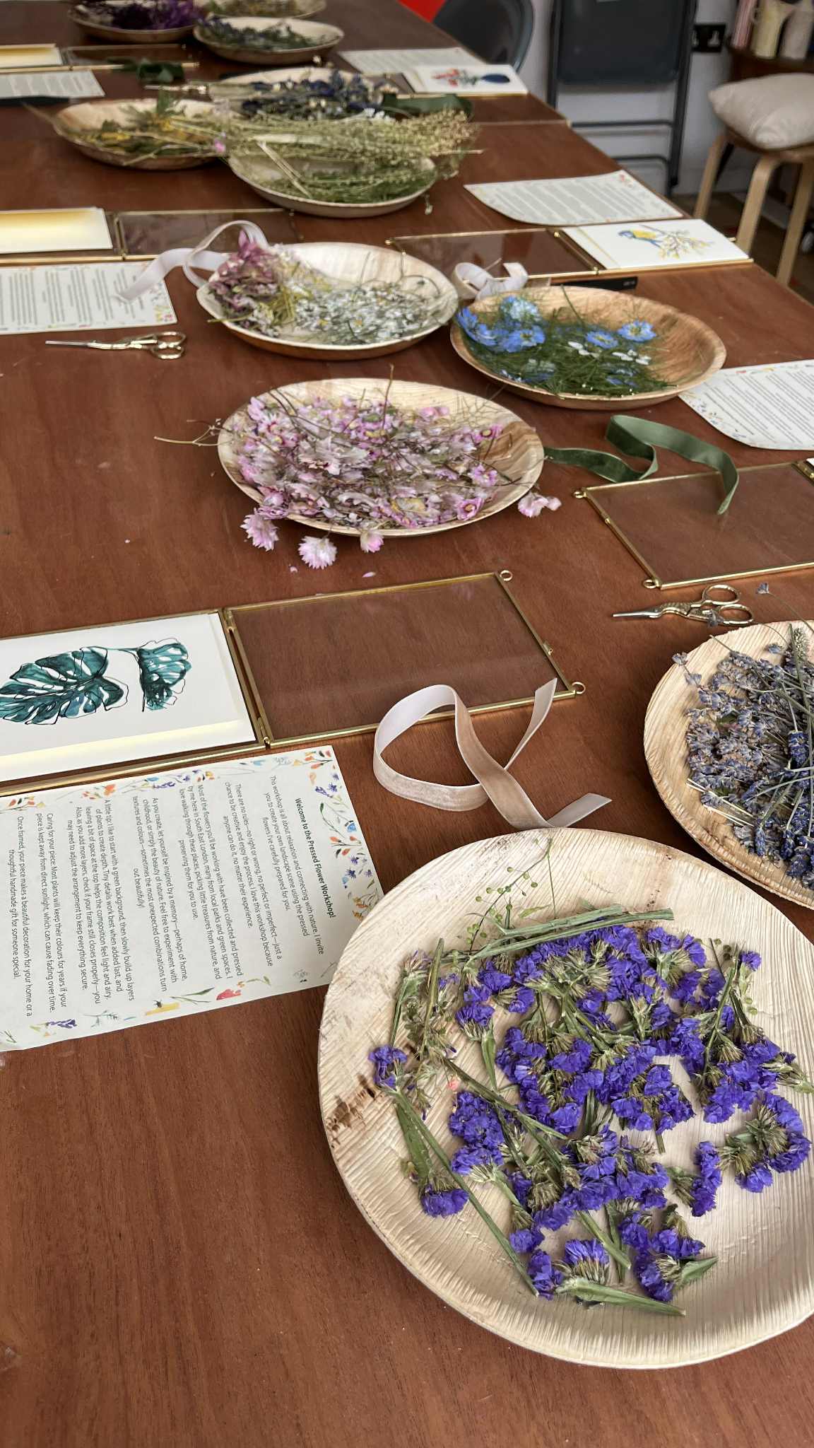 Pressed Flower Frame Workshop at Springbank Studio, Saturday, 25th October | 10:00 – 11:30 AM