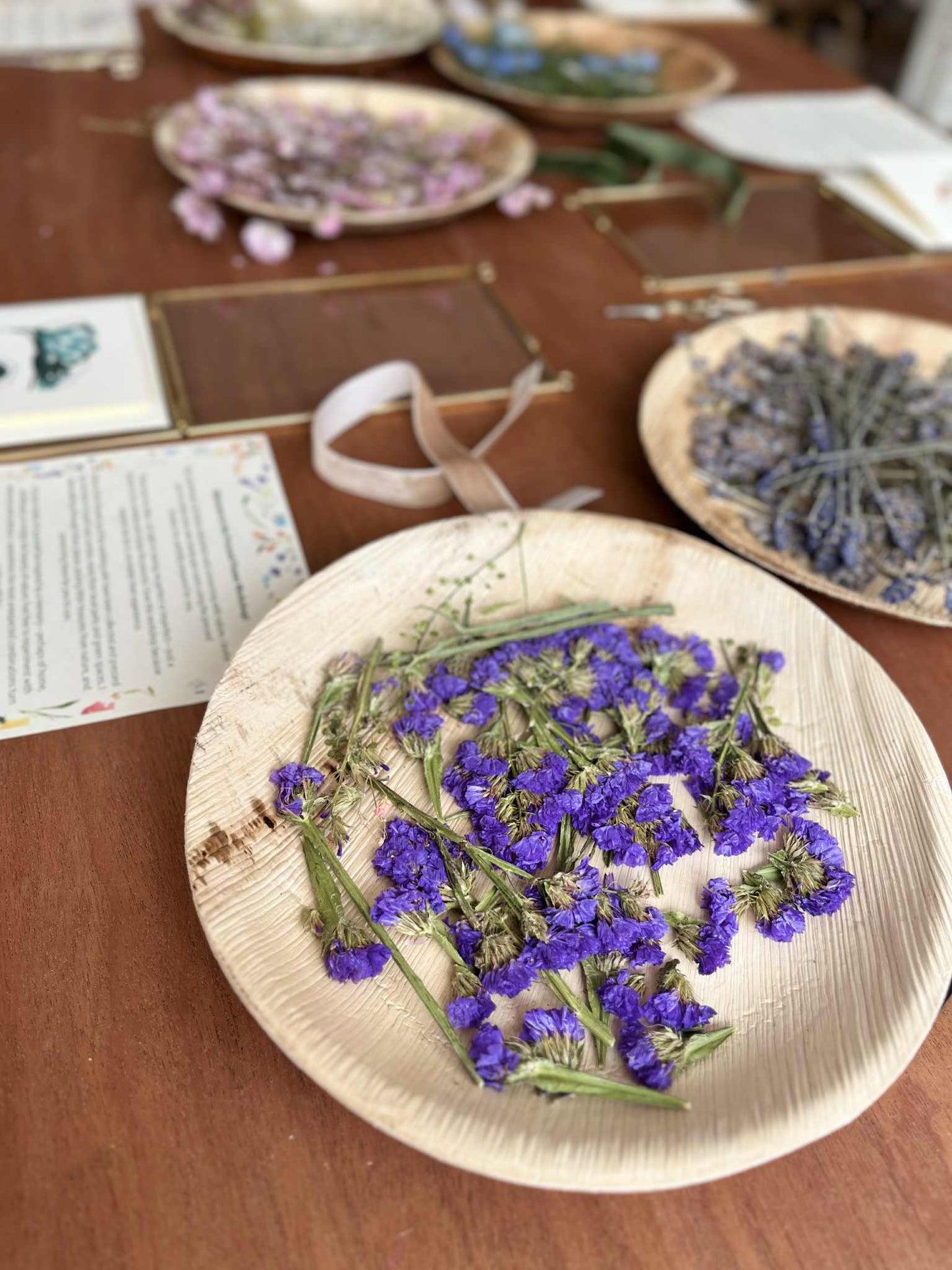 Pressed Flower Frame Workshop at Springbank Studio, Saturday, 25th October | 10:00 – 11:30 AM