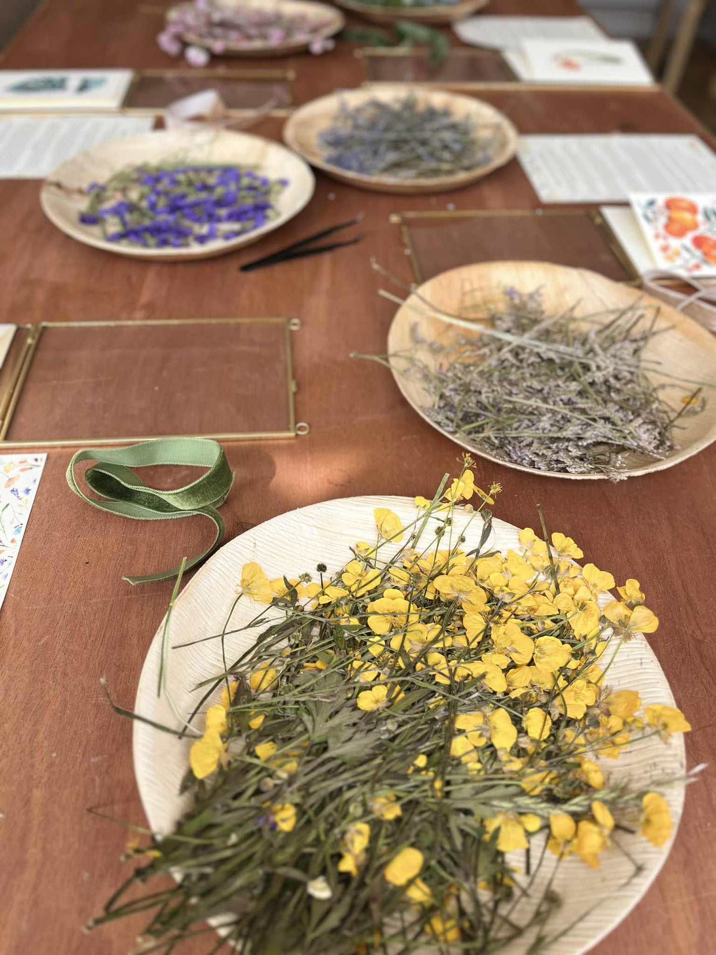 Pressed Flower Frame Workshop at Springbank Studio, Saturday, 25th October | 10:00 – 11:30 AM