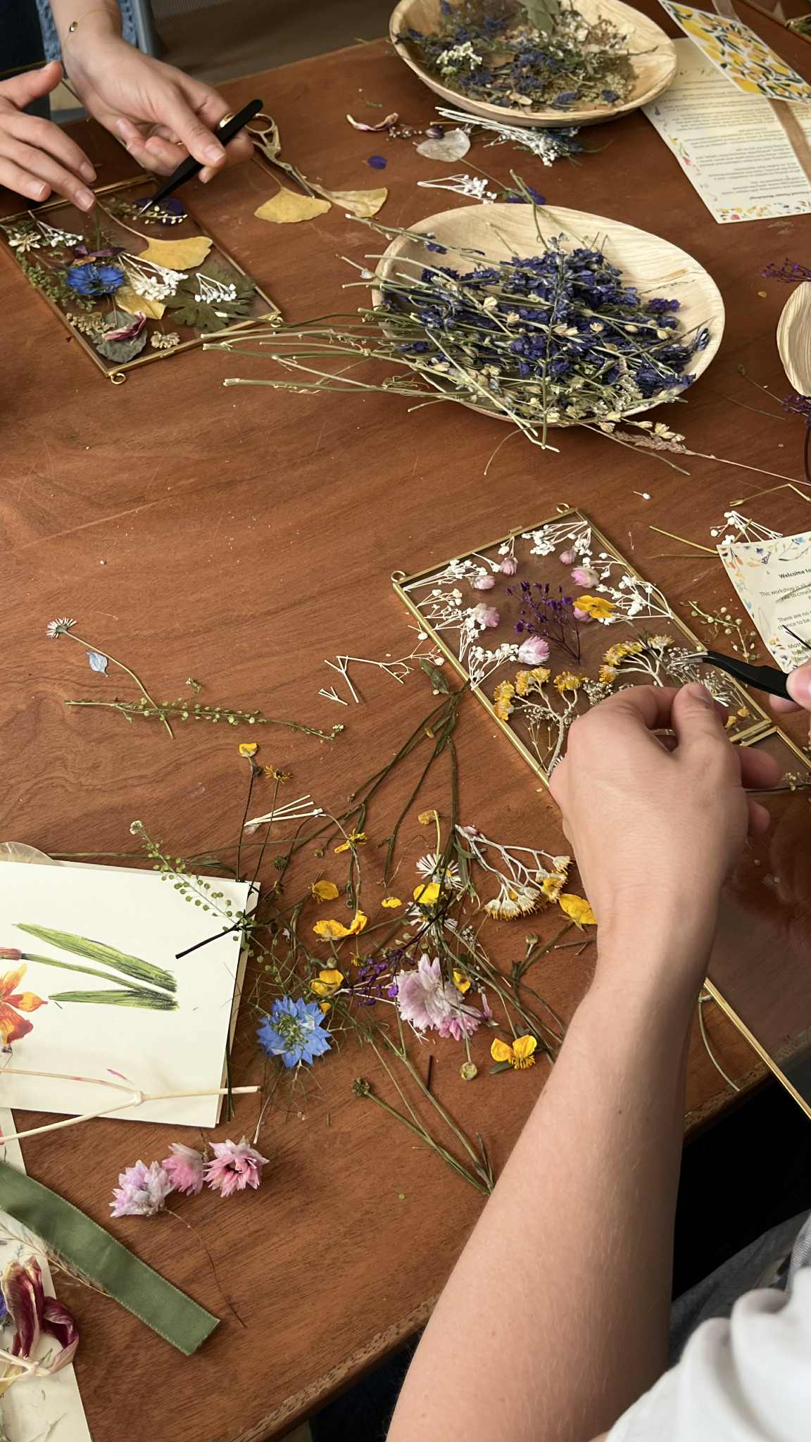 Pressed Flower Frame Workshop at Springbank Studio, Saturday, 25th October | 10:00 – 11:30 AM