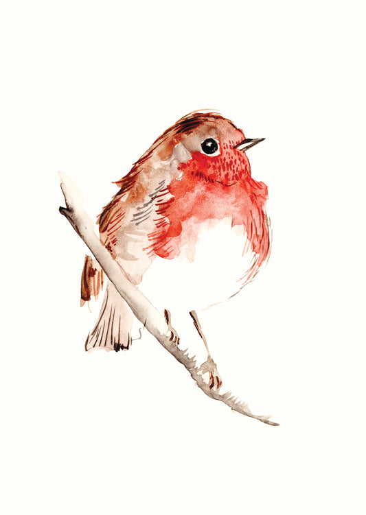 Robin Christmas Greeting Card by Maria Zvaric Illustration. Elegant card featuring a detailed robin illustration, ideal for sending warm and festive Christmas greetings.