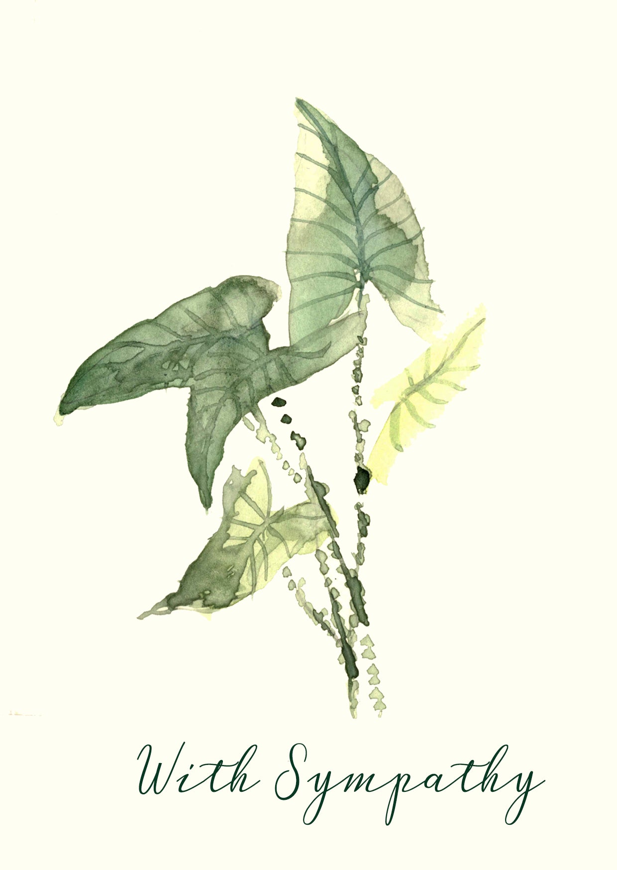 With Sympathy Greetings Card (Alocasia Zebrina )