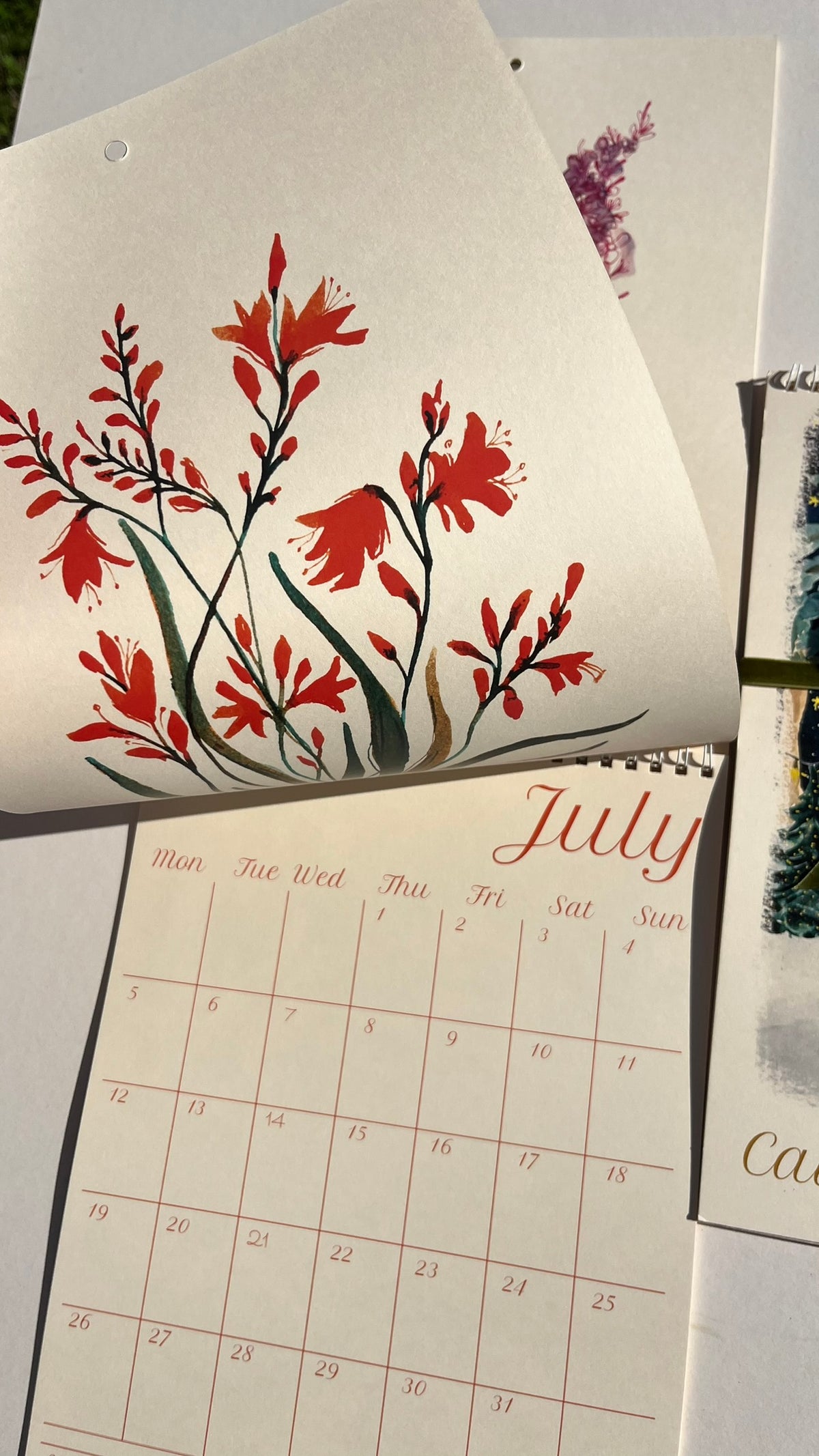 2027 Watercolour Art Calendar – 12 Original Botanica & Nature Paintings to Frame