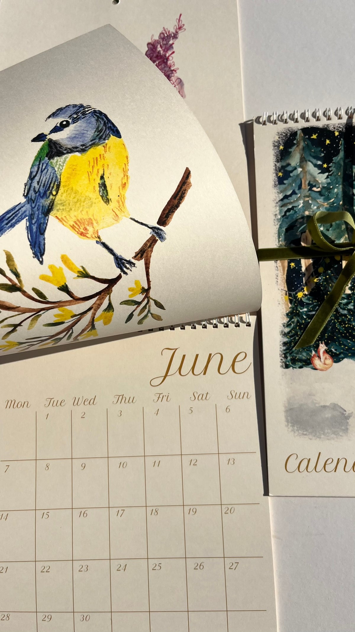 2027 Watercolour Art Calendar – 12 Original Botanica & Nature Paintings to Frame