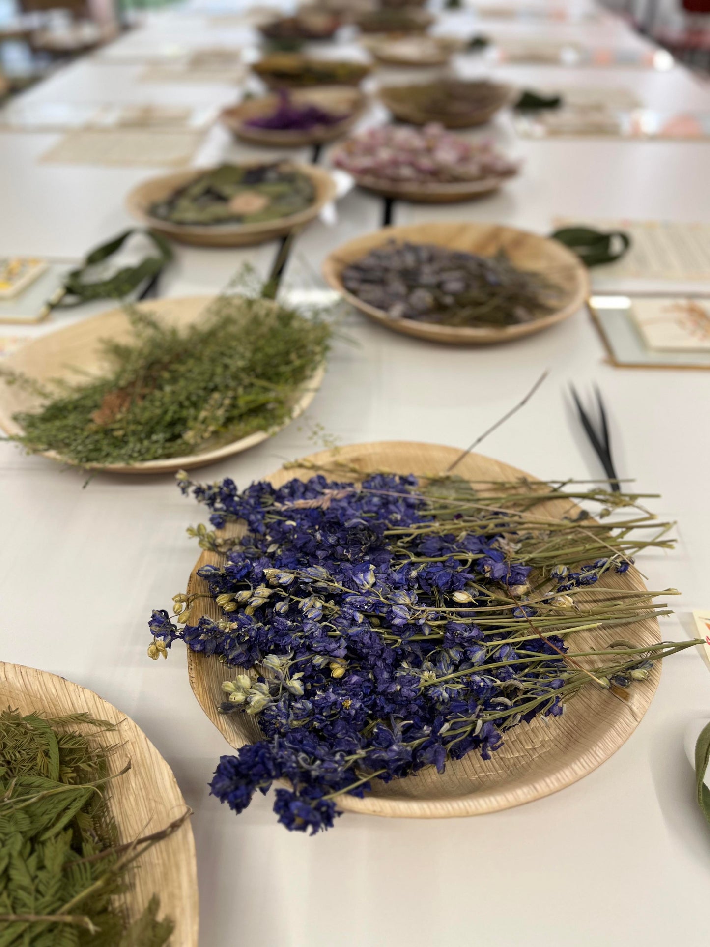 Dried Pressed Flower Frame Workshop at Springbank Studio SE13 6SS