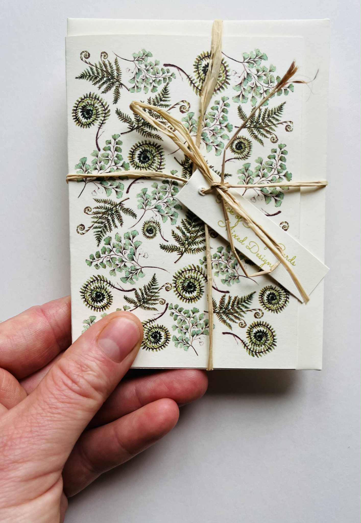 Pack of 5 Mini Greetings Cards – Fern Collection | A7 Botanical Blank Cards | Maria Zvaric Illustration