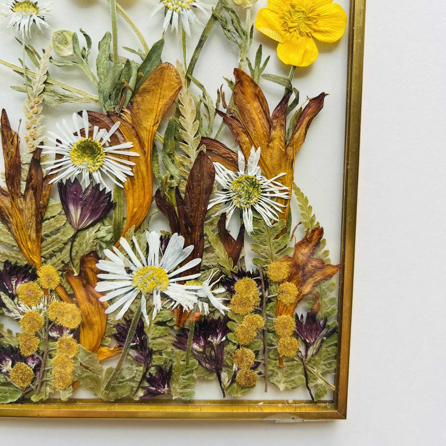 Pressed Flower Frame Workshop – British Library