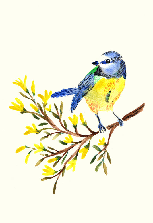 Blue Tit Blossom Greetings Card | Elegant Floral Design for Any Occasion | Maria Zvaric Illustration