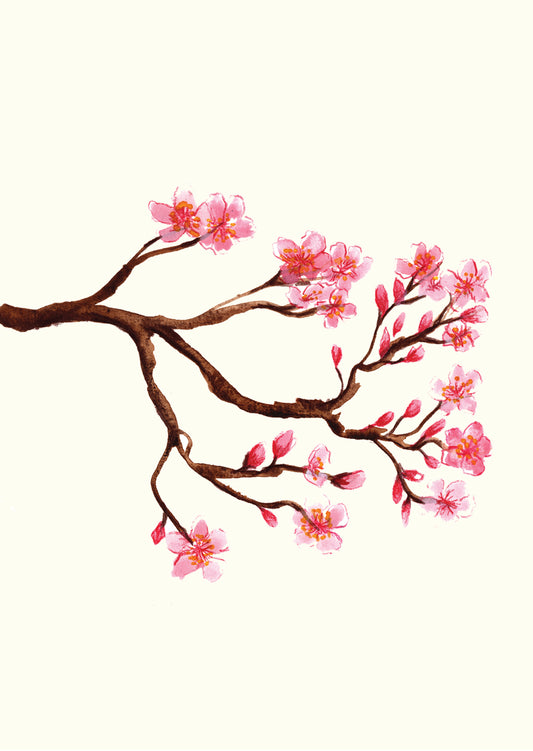 Cherry Blossom Brach - Greetings Card