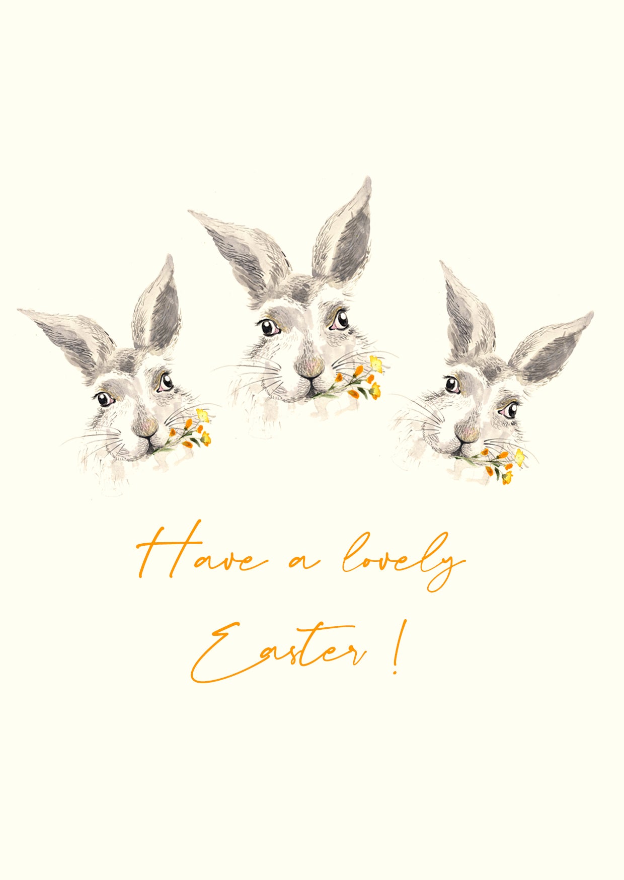 Easter Bunny Greetings Card