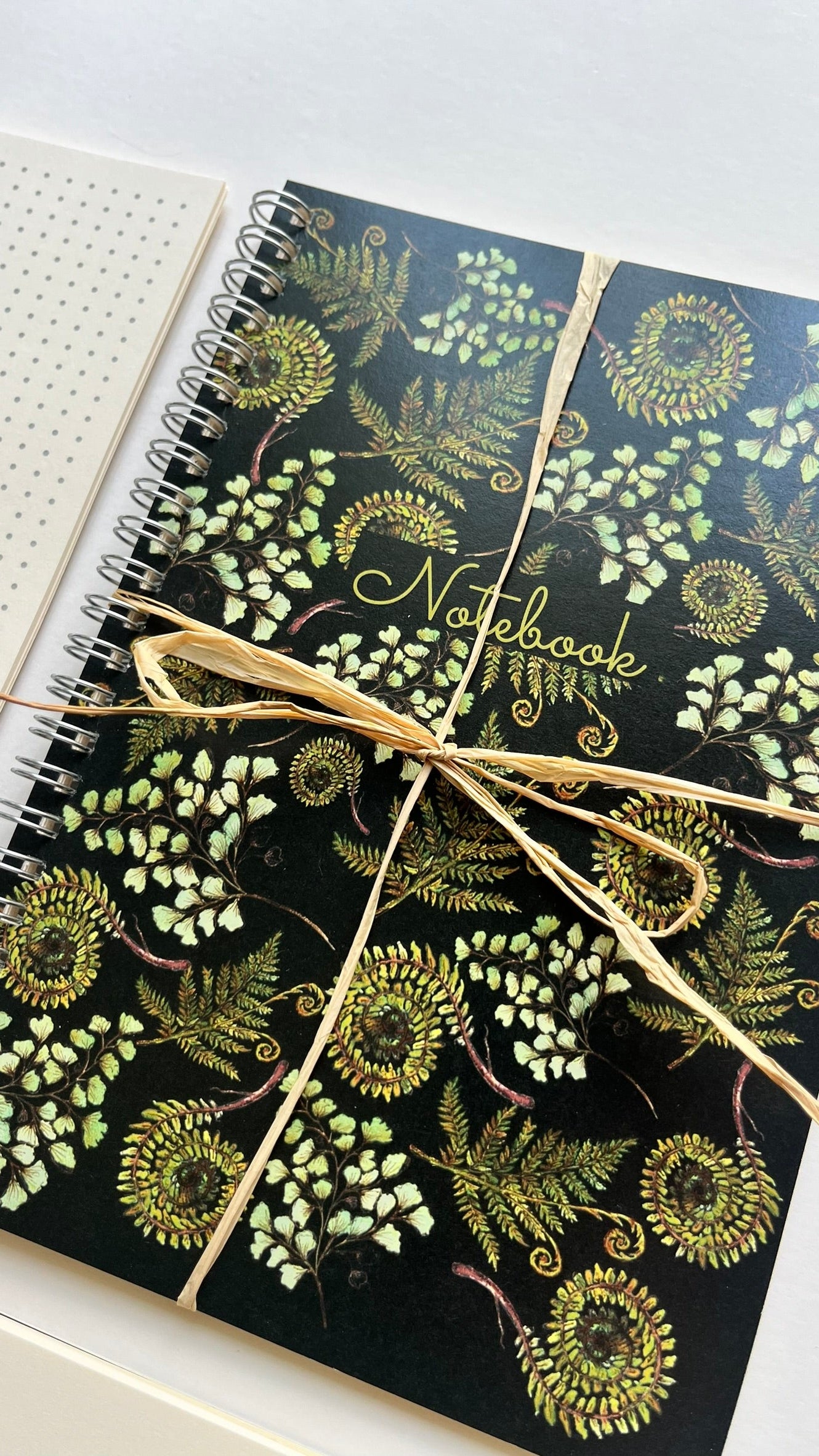 Fern Botanical A5 Wirebound Notebook | Dotted & Plain Ivory Paper