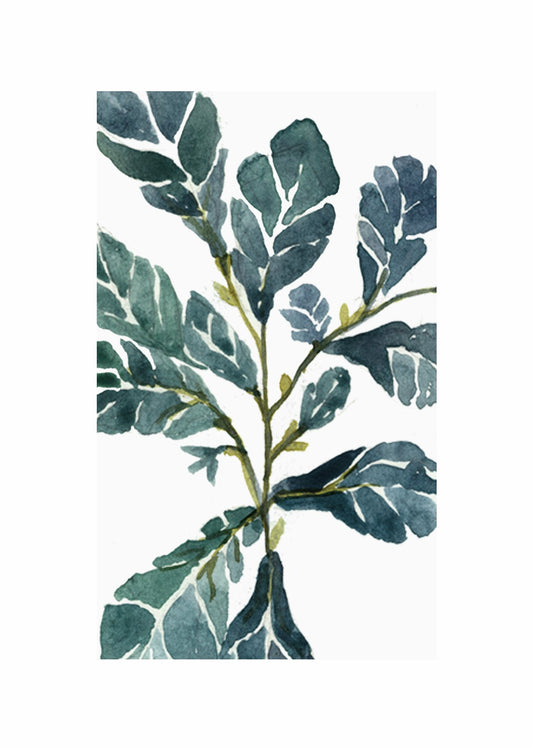 Fiddle Leaf - Greetings Card