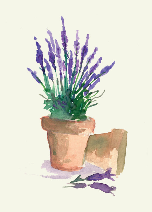 Lavender Pot - Greetings Card