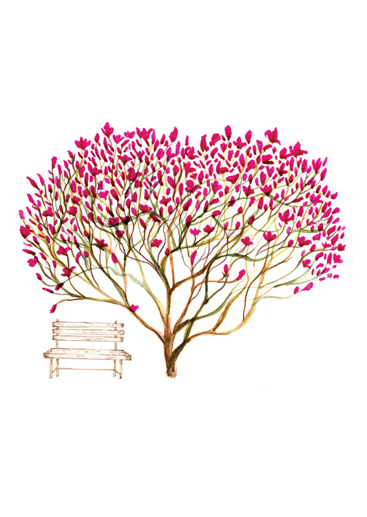 Magnolia Tree - Greetings Card