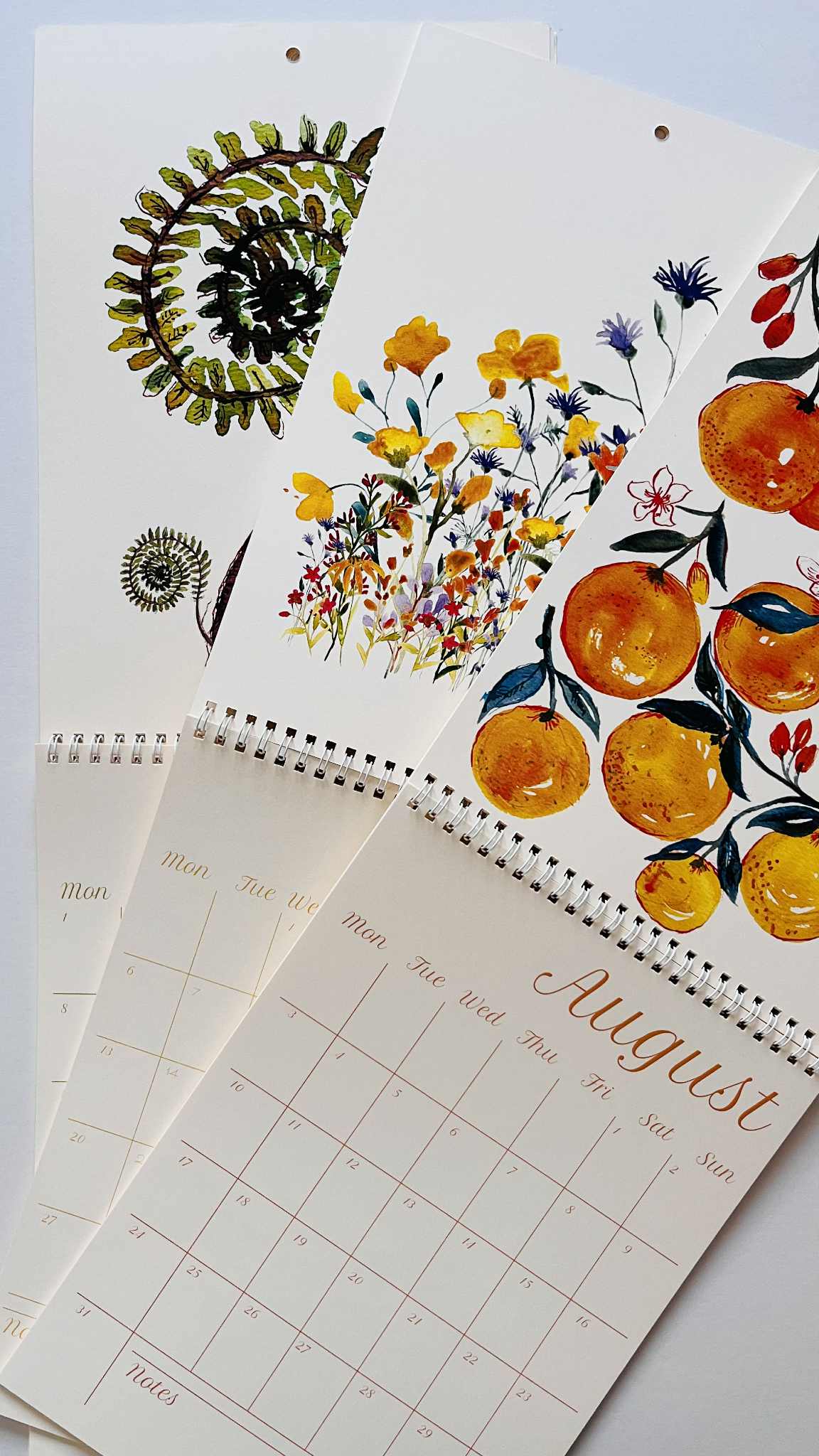Maria Zvaric 2026 Calendar | Original Watercolours & Botanical Prints