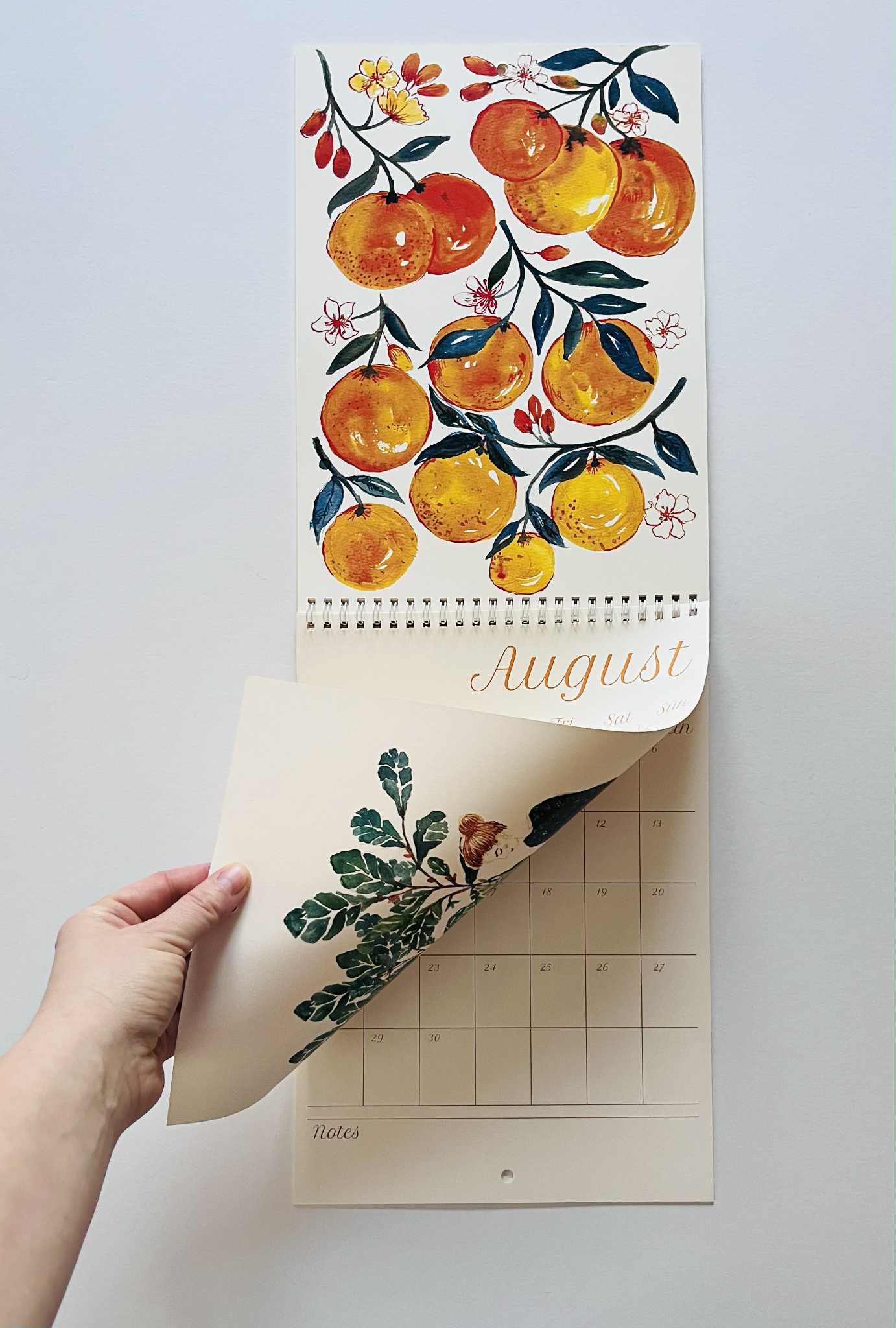 Maria Zvaric 2026 Calendar | Original Watercolours & Botanical Prints