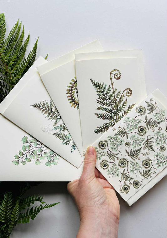 Set of 5 Fern & Foliage Greeting Cards on Ivory | Botanical Watercolour & Ink | Maria Zvaric Illustration