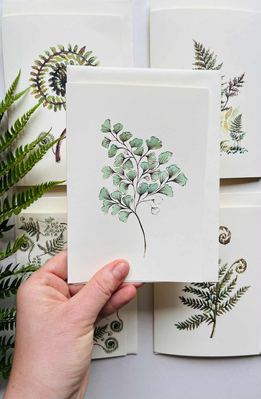 Maidenhair Fern Greeting Card on Ivory | Delicate Botanical Watercolour | Maria Zvaric Illustration
