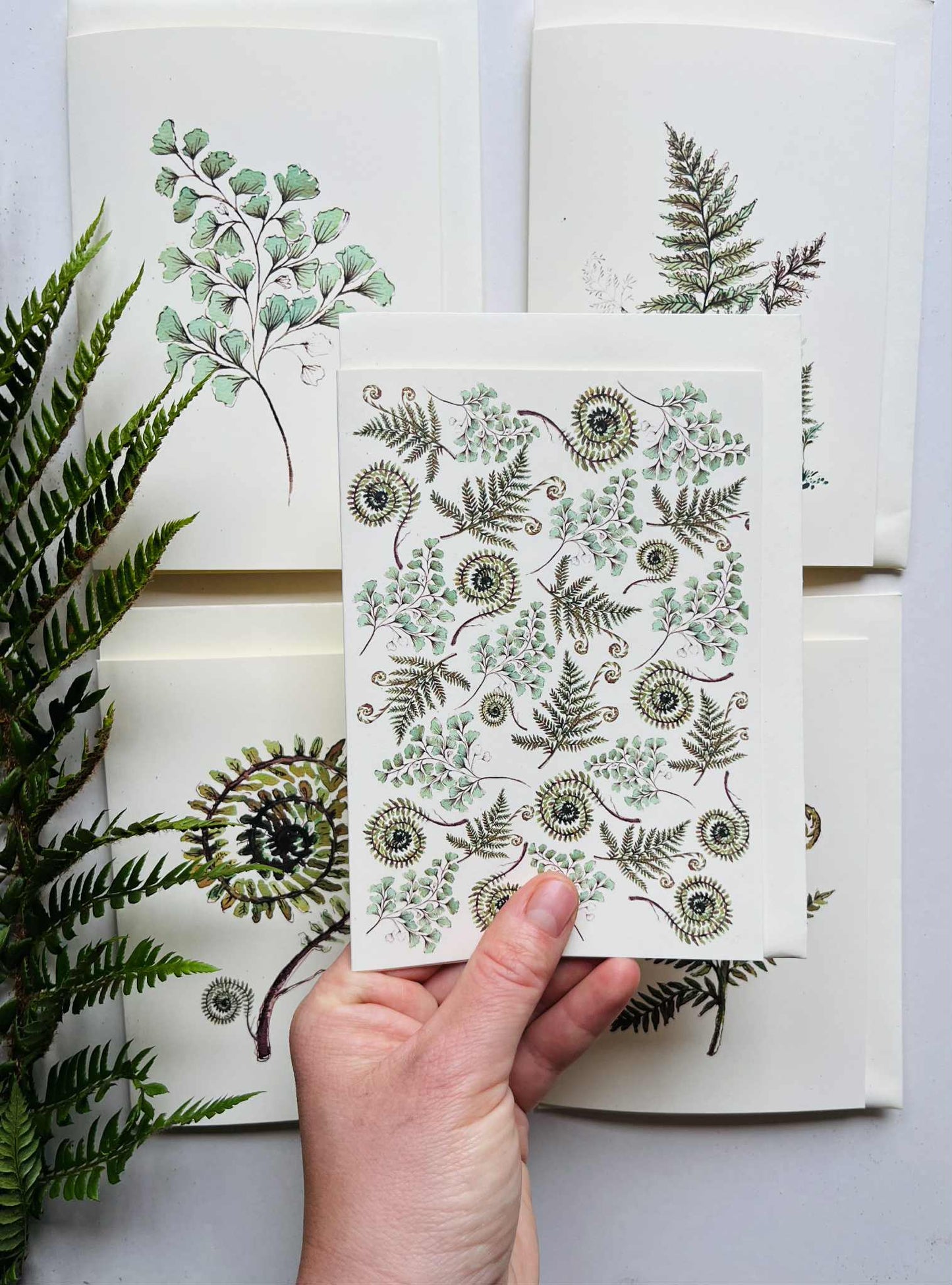 Botanical Pattern Greeting Card on Ivory | Ferns & Botanical Designs | Maria Zvaric Illustration