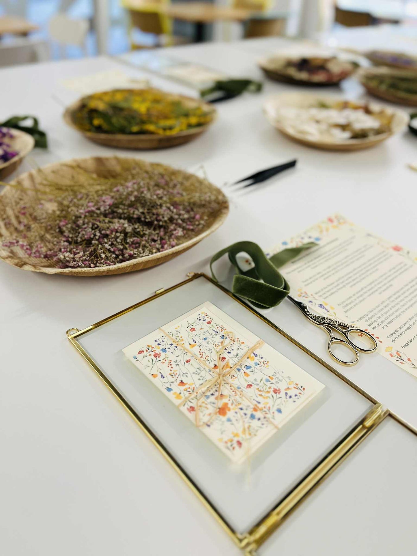 Pressed Flower Frame Workshop at Springbank Studio, Saturday, 25th October | 10:00 – 11:30 AM
