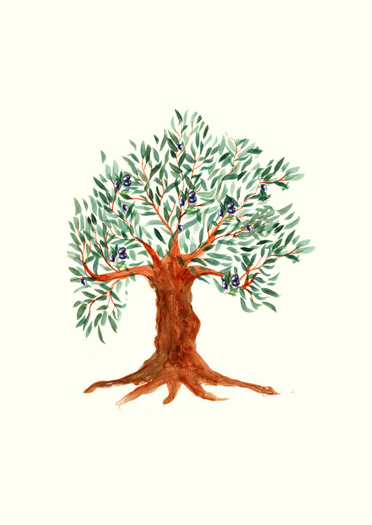 Olive Tree - Greetings Card