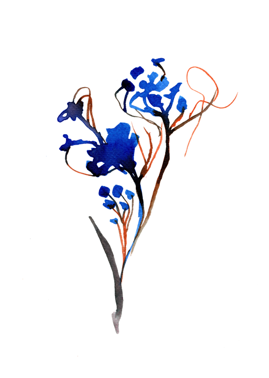 Ink Bloom | Blue Watercolour Flower Greeting Card by Maria Zvaric Illustration