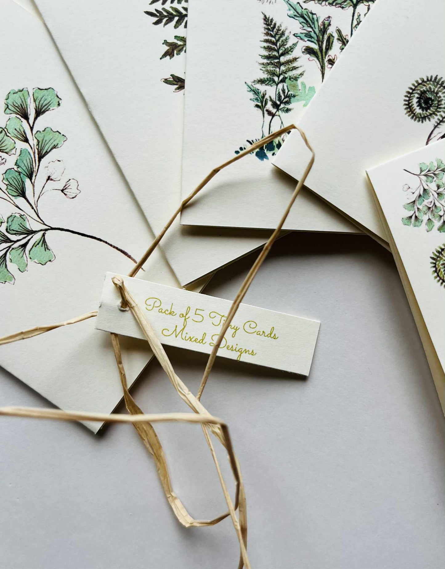 Pack of 5 Mini Greetings Cards – Fern Collection | A7 Botanical Blank Cards | Maria Zvaric Illustration